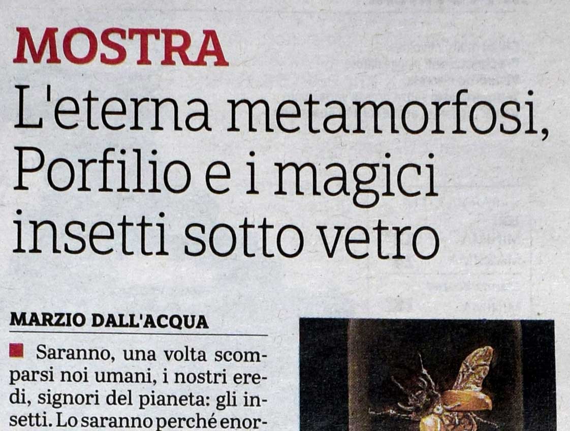GAZZETTA DI PARMA - L’eterna metamorfosi, Porfilio e i magici insetti sotto vetro